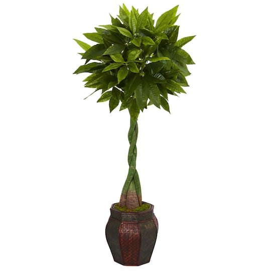 5ft. Money Tree in Decorative Planter